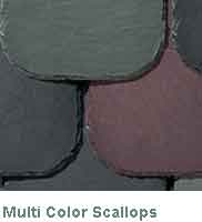 Multi Color Scallops